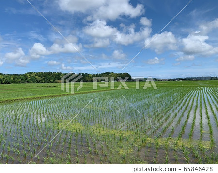 千葉縣多光町 千葉縣多光町 65846428