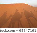 Go sahara 65847161