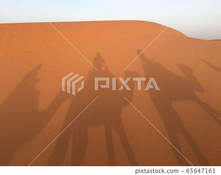 Go sahara Go sahara 65847161