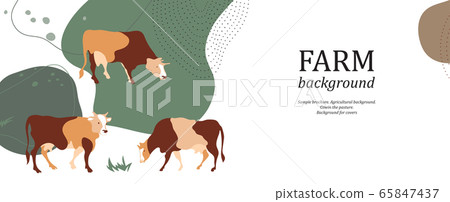 Horizontal agricultural background. Cow silhouette made of multi-colored segments. Horizontal agricultural background. Cow silhouette made of multi-colored segments. 65847437