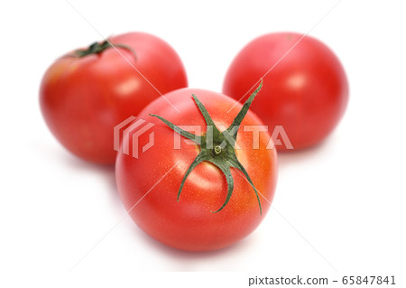 Tomato Tomato 65847841