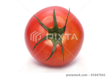 Tomato Tomato 65847842