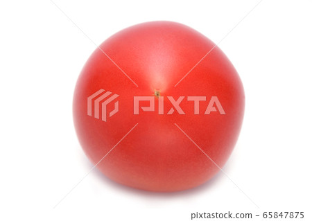 Tomato Tomato 65847875