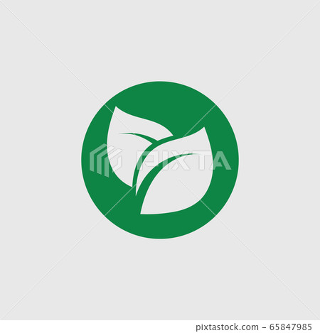 Eco icon green leaf vector illustration template Eco icon green leaf vector illustration template 65847985