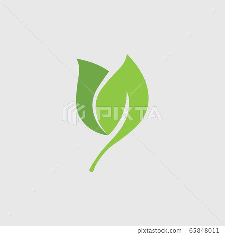 Eco icon green leaf vector illustration template 65848011