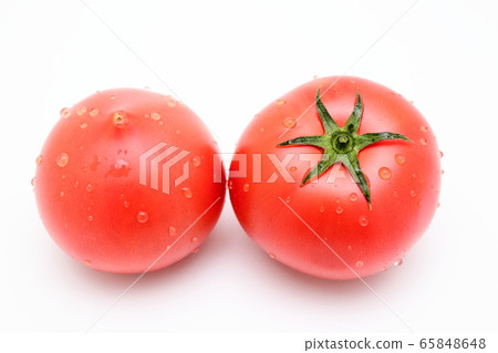 Tomato white background white background Tomato white background white background 65848648