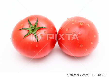 Tomato white background white background Tomato white background white background 65848650