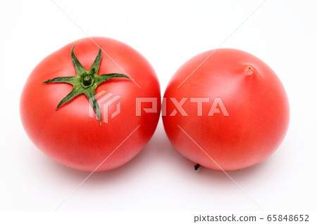 Tomato white background white background 65848652