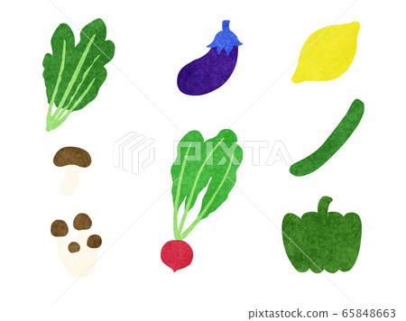蔬菜插圖集蔬菜插圖 蔬菜插圖集蔬菜插圖 65848663