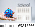 doctor hand in glove holds coronavirus model on 65848766