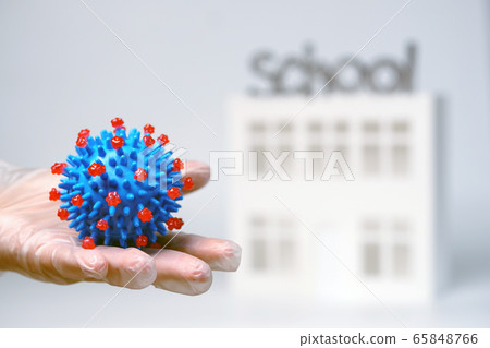 doctor hand in glove holds coronavirus model on 65848766