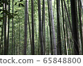 Kyoto Arashiyama bamboo forest 65848800