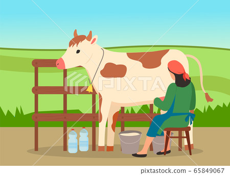 Woman farmer near cow on nature landscape. Milkmaid is working at countryside milking cow in field 65849067