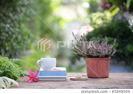 White coffee cup and pink frangipani flower with heathers plant at outdoor White coffee cup and pink frangipani flower with heathers plant at outdoor 65849509