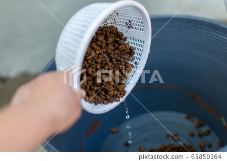 Aquarium biotope aquarium 65850164