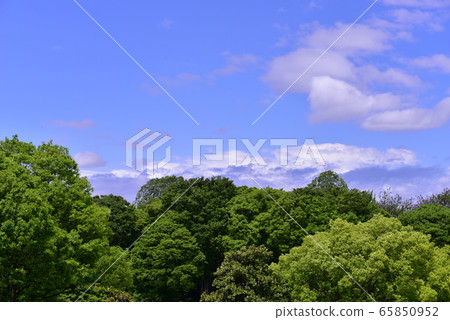 藍天 藍天 65850952