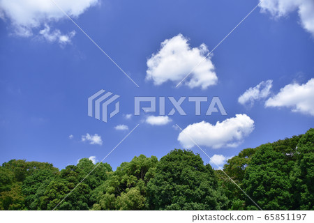 藍天 藍天 65851197