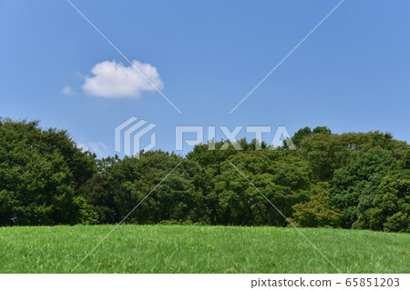 藍天 藍天 65851203