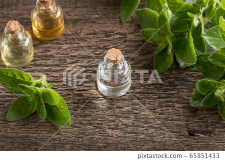 A bottle of essential oil with oregano twigs 65851433