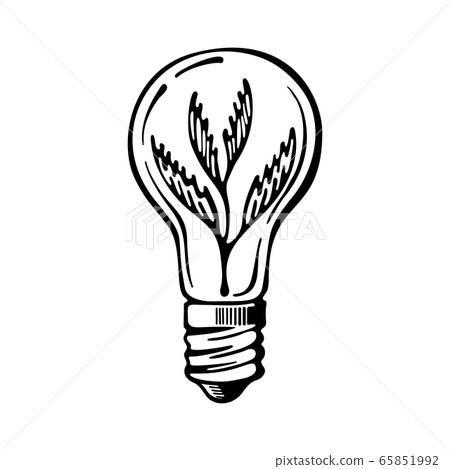 Green eco energy concept, plant growing inside the light bulb. Hand-drawn icon vector isolated on white background 65851992