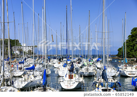 Irie (early summer) 65852149