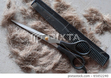 Pile of cut hair, scissors for haircuts and comb. 65852240