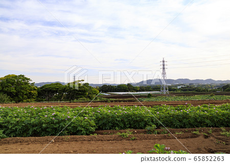 場（初夏） 65852263