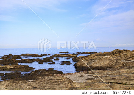 Cape (early summer) 65852288