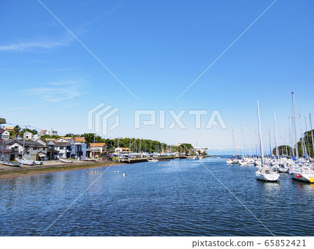 Irie (early summer) 65852421