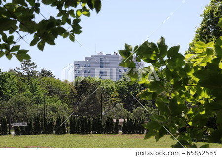 I took a walk in Kinuta Park on a sunny day 65852535