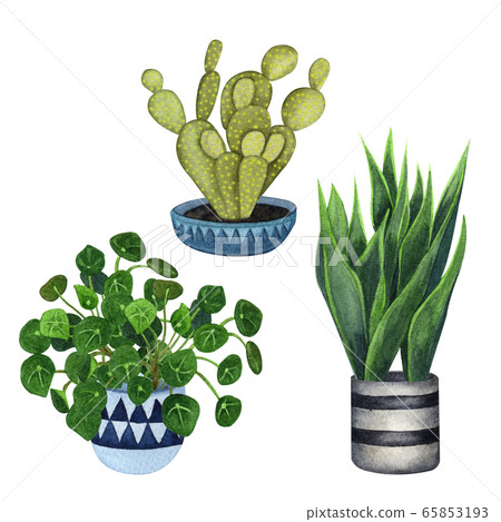 Indoor plants in a pot set . Watercolor plants... - Stock Illustration ...