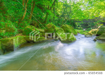 大多喜峽谷，山間溪流，鮮綠色，慢速快門[愛知縣] 65854588