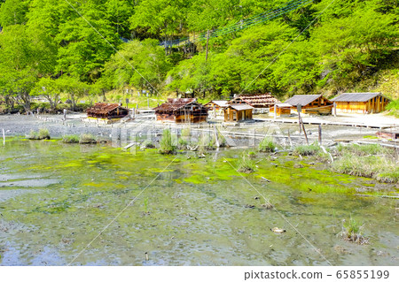 湯平平沼澤1 65855199