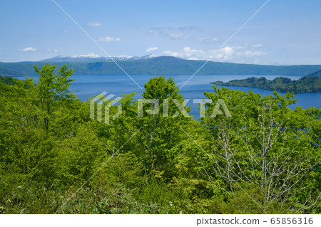 Fresh green Towada lake Fresh green Towada lake 65856316