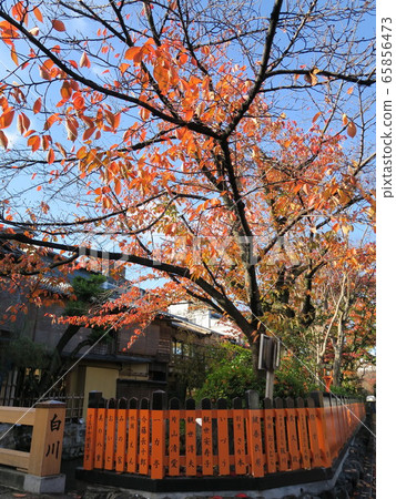 Autumn landscape at Gion Shirakawa Tatsumi Bridge 65856473
