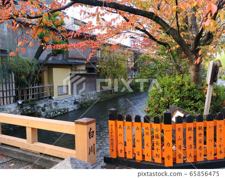 Autumn landscape at Gion Shirakawa Tatsumi Bridge 65856475