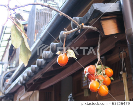 Autumn landscape at Gion Shirakawa Tatsumi Bridge 65856479