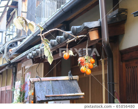 Autumn landscape at Gion Shirakawa Tatsumi Bridge 65856480