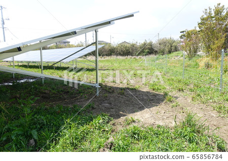 割草後的太陽能發電廠 65856784