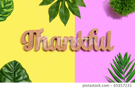 Thankful wooden text with tropical leaves Thankful wooden text with tropical leaves 65857231