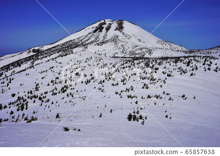 八甲田山大岳的大竹 八甲田山大岳的大竹 65857638