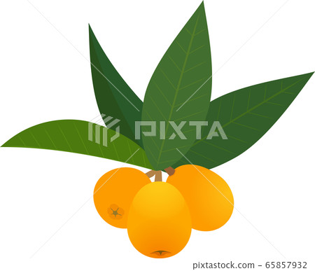 fruit水果 65857932