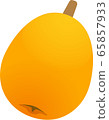Loquat loquat loquat fruit 65857933