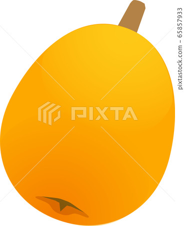 Loquat loquat loquat fruit Loquat loquat loquat fruit 65857933