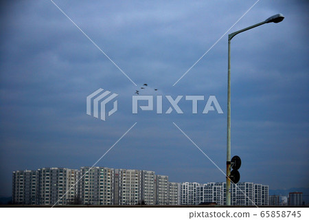 Apartment Apartment 65858745