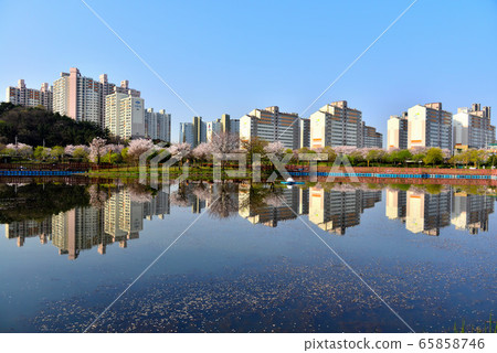 Apartment landscape Apartment landscape 65858746