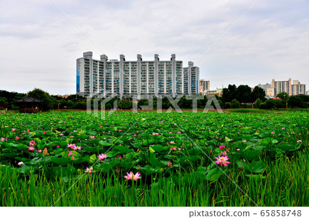 Landscape with apartments Landscape with apartments 65858748
