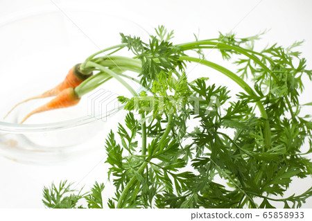 Carrot leaf thinning 65858933