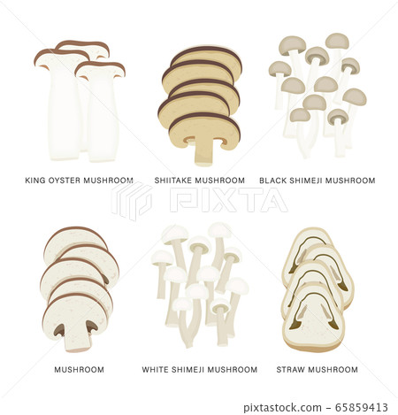 Set of Mushroom Vegetable Slices. Organic and healthy food isolated element Vector illustration. 65859413