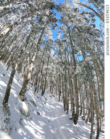 Shiomidake Forest Zone 65859615